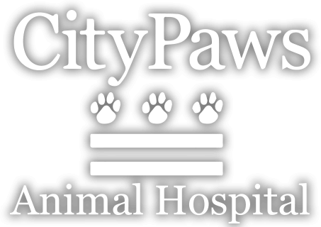 CityPaws Animal Hospital Logo